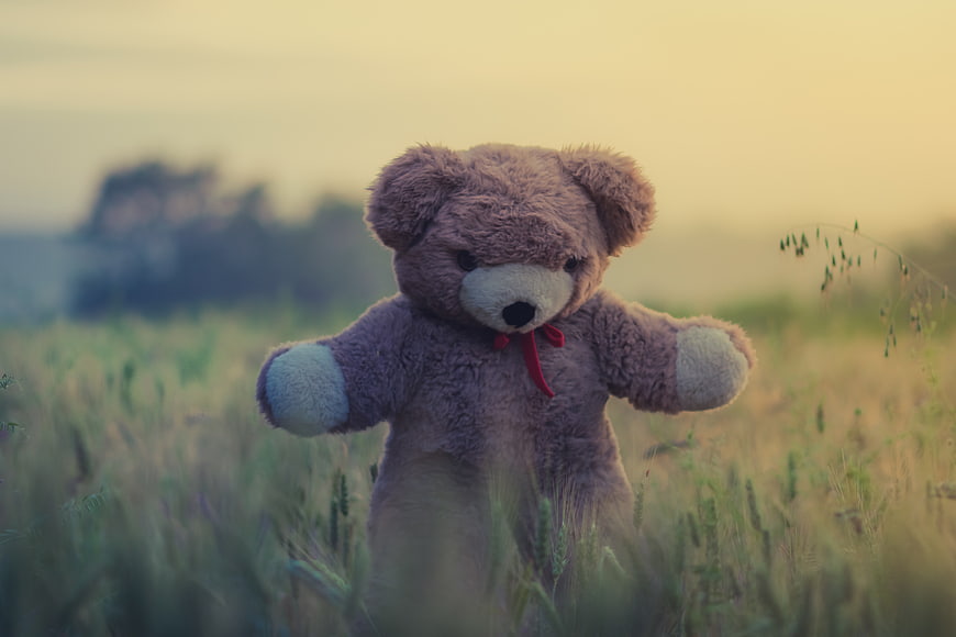 Lonely Teddy Bear Standing in Grassy Field at Sunset