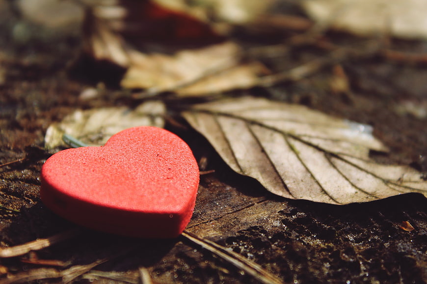Red Heart Decoration on Forest Floor with Leaves