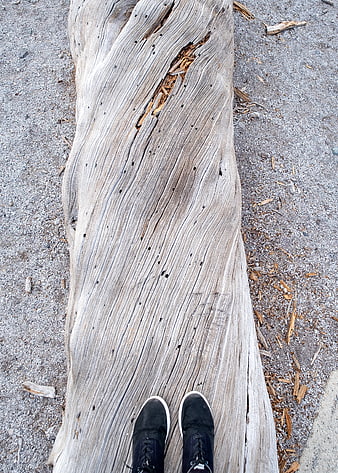 Top-down view of black sneakers on weathered driftwood log