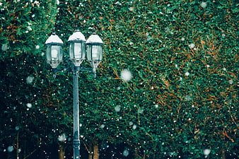 Vintage street lamp in snowfall against green hedge