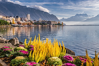 Montreux Switzerland Lake Geneva Landscape With Autumn Flowers