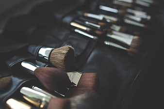 Professional makeup brushes in black leather roll