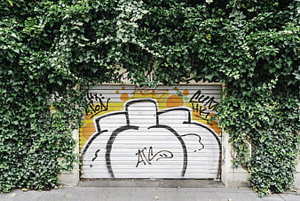 Graffiti Art on Garage Door Surrounded by Ivy
