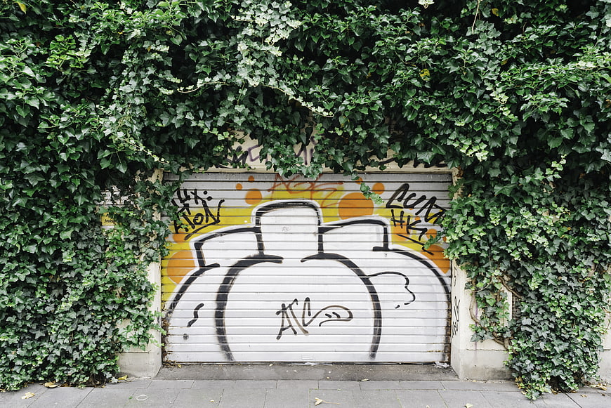 Graffiti Art on Garage Door Surrounded by Ivy