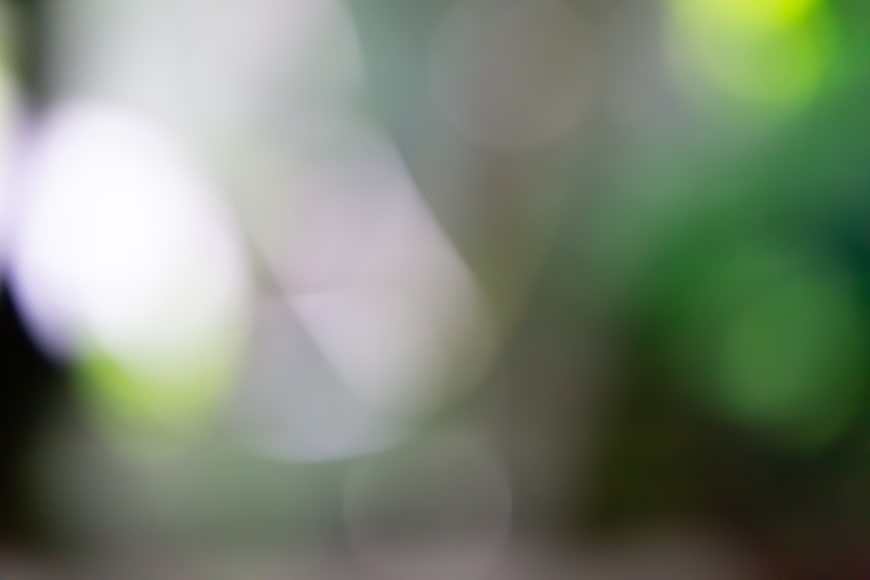 Abstract Green and White Bokeh Background