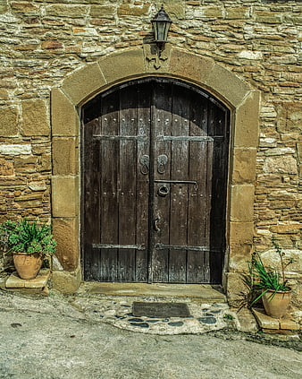 Rustic Arched Wooden Door in Stone Wall with Potted Plants