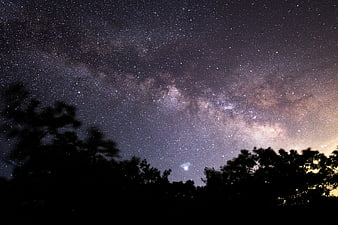 Milky Way Galaxy Over Silhouetted Trees at Night