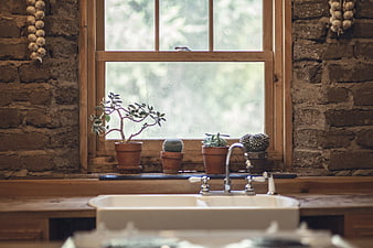 Rustic Kitchen Sink with Cacti and Garlic on Brick Wall
