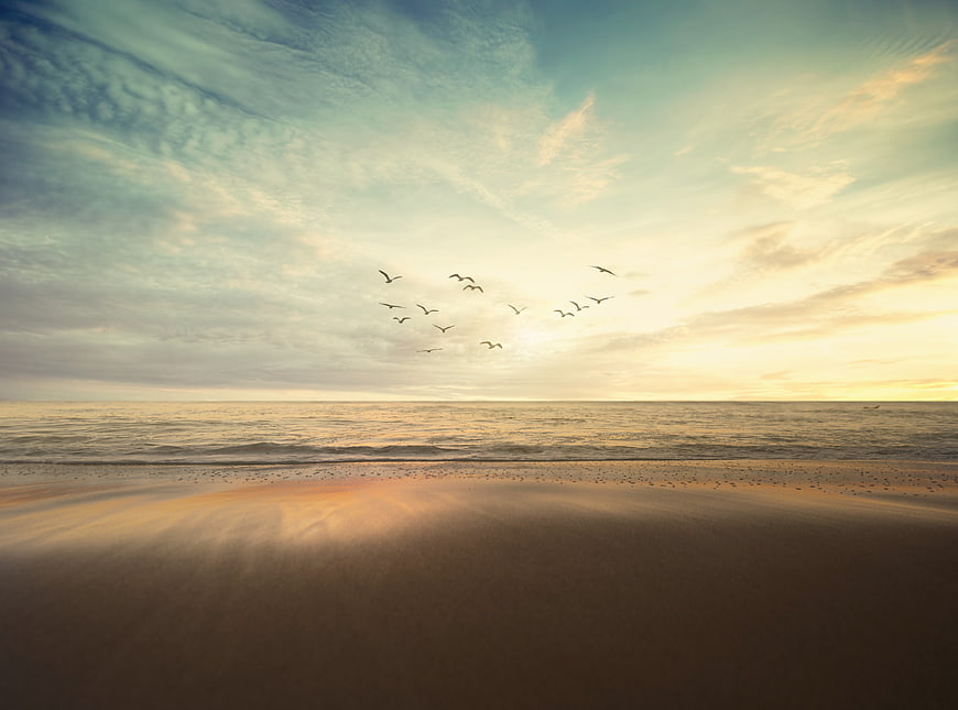 Serene Sunset Beach with Flying Birds and Golden Sky