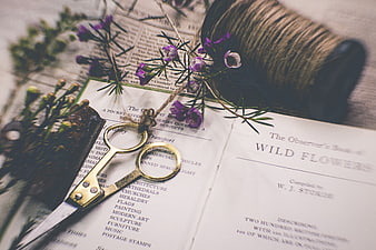 Vintage Scissors and Wildflowers on Antique Book
