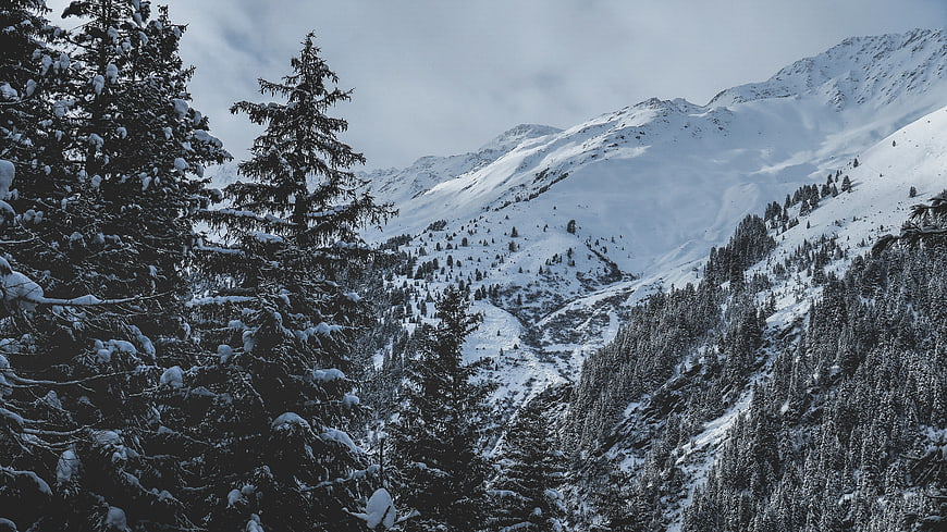 Snowy Mountain Landscape with Pine Trees in Winter