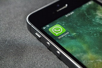 Close-up of WhatsApp app icon on smartphone screen