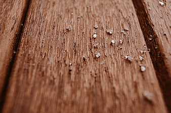 Close-up of water droplets on rustic wooden planks