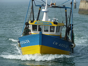Blue and yellow fishing boat named Bison Fute at sea