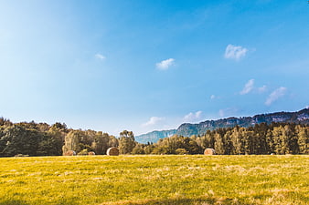 Golden Hay Bales in Green Meadow with Blue Sky