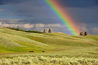 Vibrant Rainbow Over Rolling Green Hills and Sagebrush