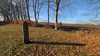 Old weathered gravestone in autumn cemetery landscape