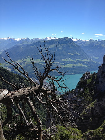 Scenic View of Lake Lucerne and Mountains from Rigi Hochfluh