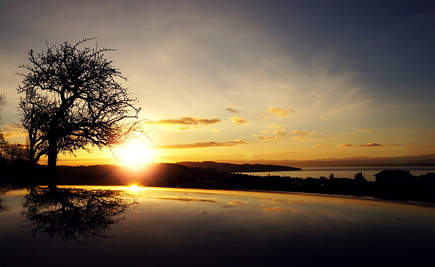 Silhouette of tree reflecting in pool at sunset