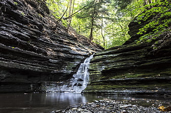 Small waterfall cascading down layered rocks in a lush forest