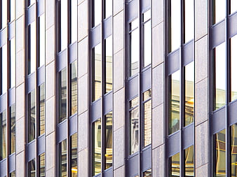Modern Building Facade with Vertical Windows and Reflections