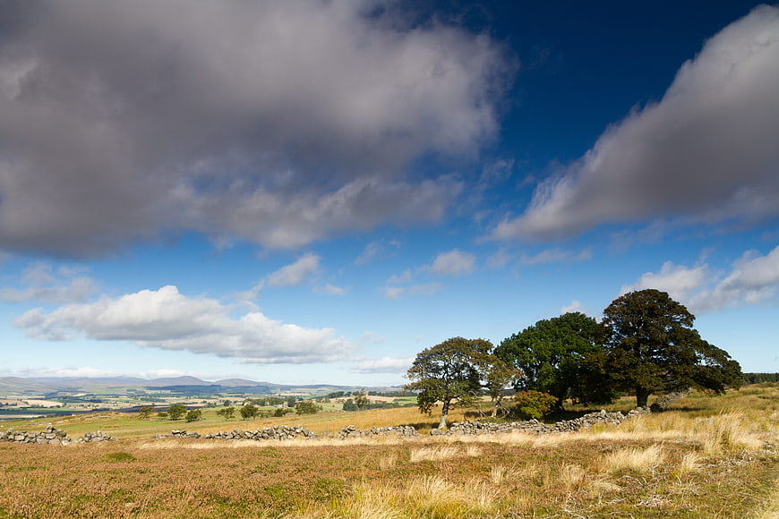 Rolling countryside landscape with stone walls and trees