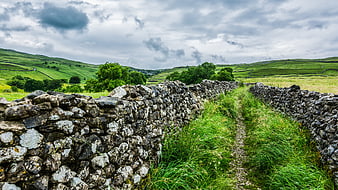 Rural stone wall path in Yorkshire Dales landscape