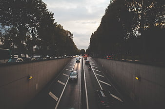 Cars entering a tunnel on a tree-lined avenue at dusk