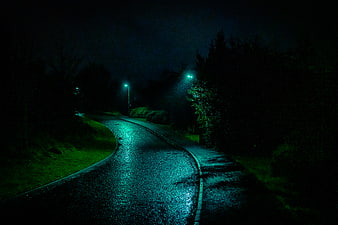 Winding wet road at night with green streetlights