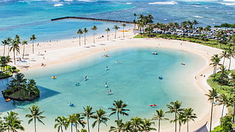 Aerial View of Tropical Beach with Turquoise Lagoon and Palm Trees