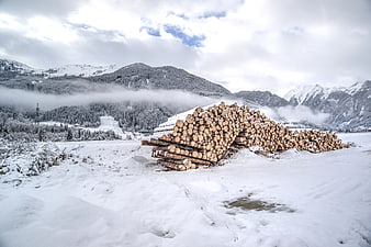 Stacked timber logs in snowy mountain landscape