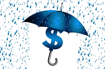 Blue Umbrella Protecting Dollar Sign from Rain