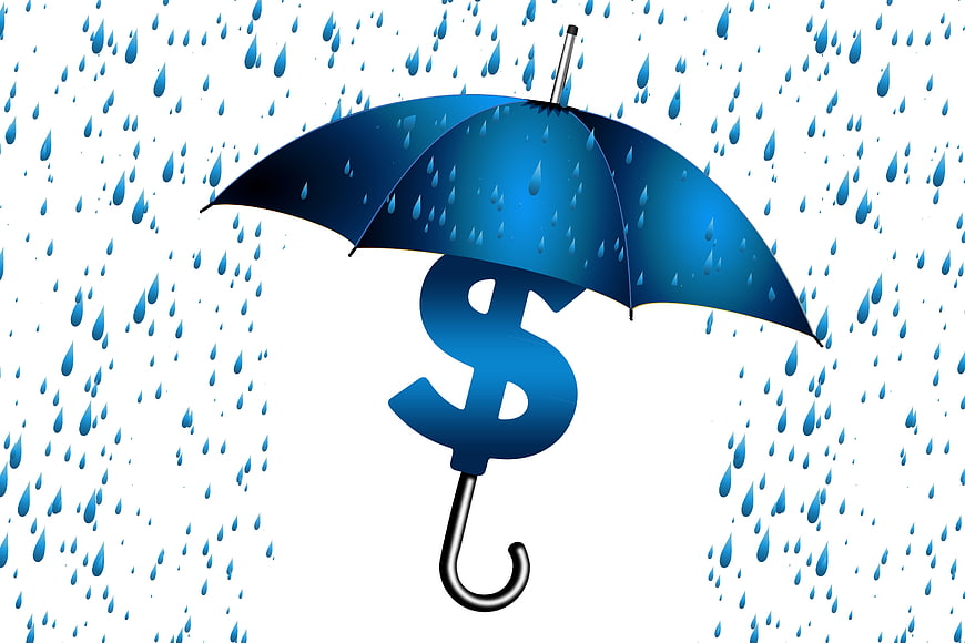 Blue Umbrella Protecting Dollar Sign from Rain