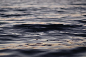 Close-up of dark ocean waves with golden sunset reflections