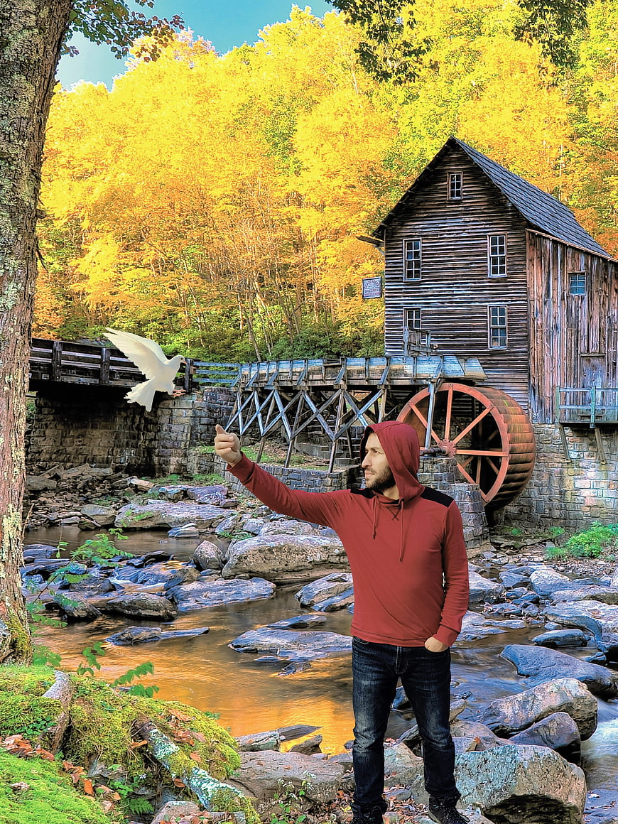 Man Releasing White Dove Near Historic Water Mill in Autumn