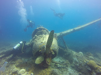 Scuba divers exploring a WWII seaplane wreck underwater