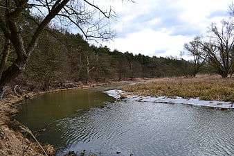 Partially frozen river winding through early spring forest landscape