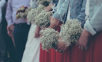 Wedding party holding baby's breath bouquets