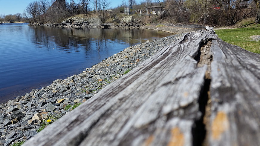 Weathered driftwood log on rocky riverbank with blue water