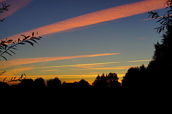 Silhouette of Trees Against Vibrant Sunset Sky with Contrails