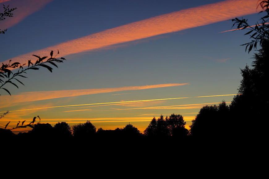 Silhouette of Trees Against Vibrant Sunset Sky with Contrails