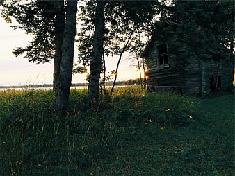 Old wooden cabin in tall grass near lake at sunset