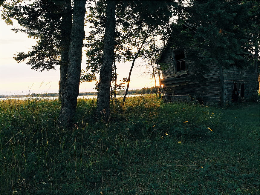 Old wooden cabin in tall grass near lake at sunset