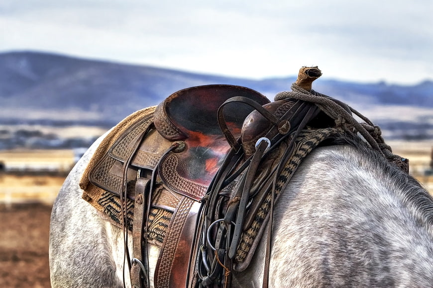 Close-up of Western Saddle on Grey Horse with Mountain Background