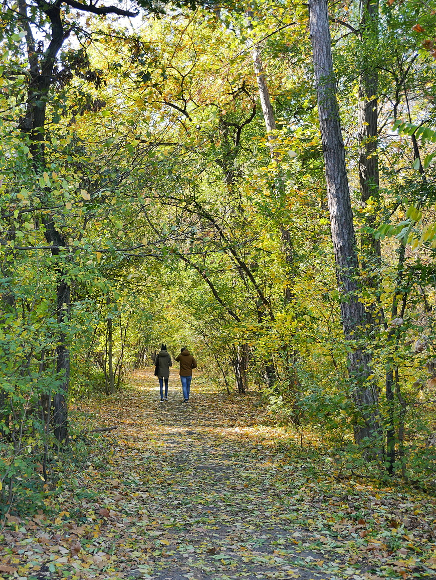 Couple Walking on Forest Path in Autumn
