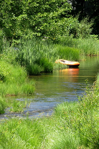 Orange rubber boat moored in a lush green river stream