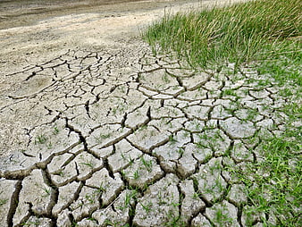 Cracked dry earth soil with green grass drought