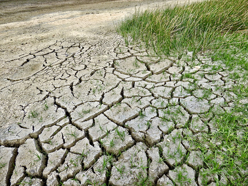 Cracked dry earth soil with green grass drought