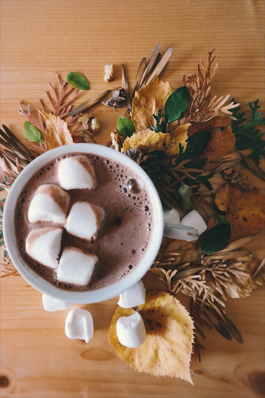 Top View Hot Chocolate with Marshmallows and Autumn Leaves