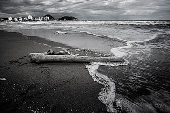 Black and white beach scene with driftwood and ocean waves
